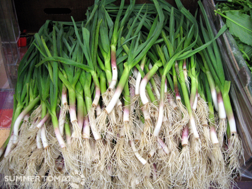 The difference between green garlic and green onions - How To Cook Like  Your Grandmother